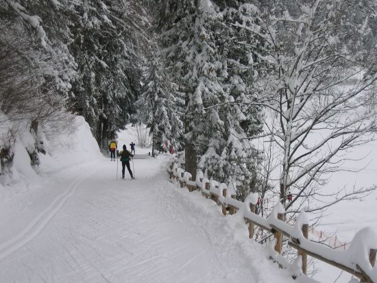 In Valle d'Ayas ci sono circa 40 Km di piste per sci da fondo